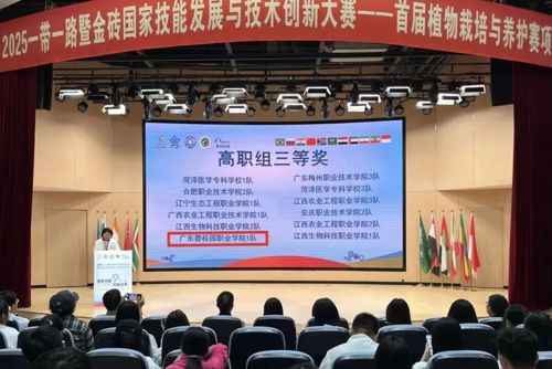 捷报连连！beat365学子斩获金砖大赛三等奖！